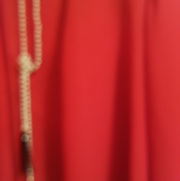 Sheer red jacket. NWT, xl. Never worn. - Picture 2 of 3